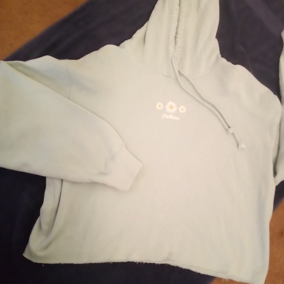 Hollister Cropped Hoodie - Picture 2 of 16